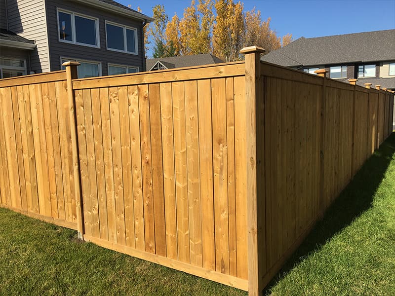 Toronto-woodworking-carpentry-and-landscaping-services-288832